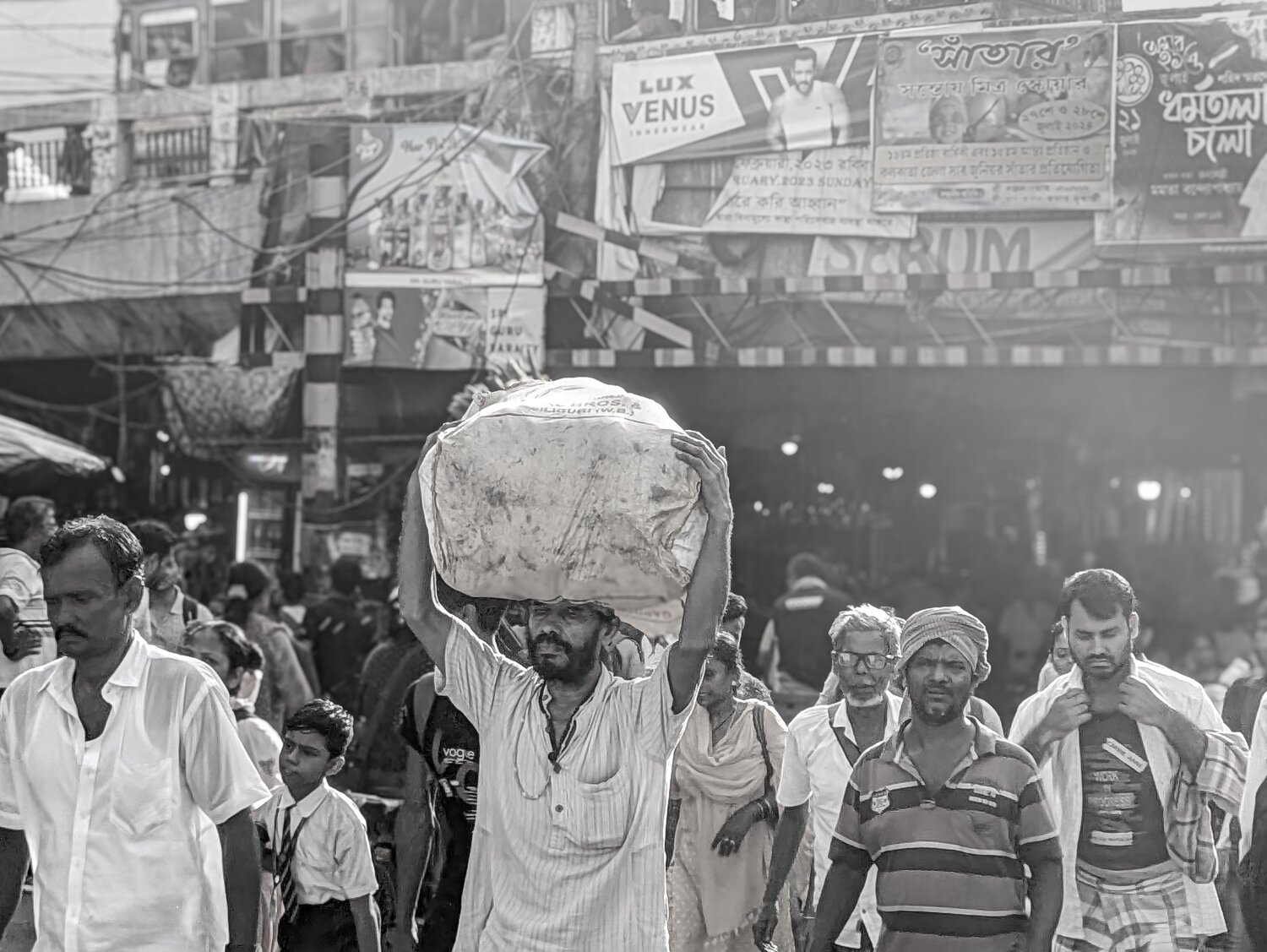 Photo #11106447