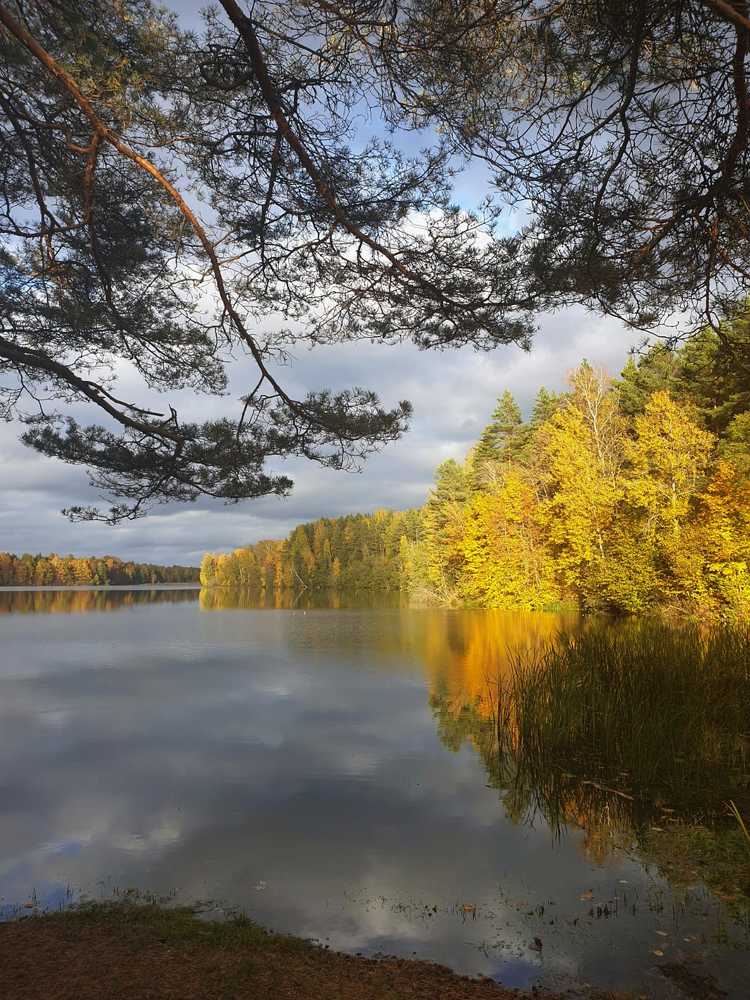 Фотография автора Ирина