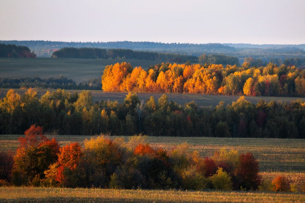 Фотография автора Lozhkin Vyacheslav
