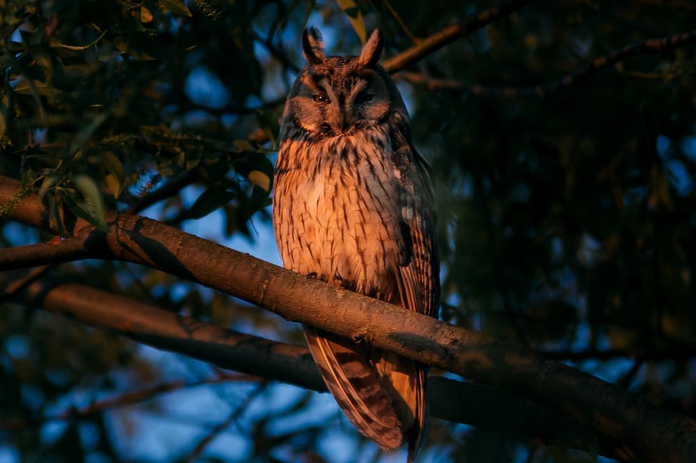 Фотография автора Ирина Шестакова