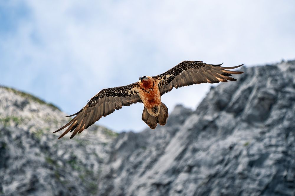 Photograph by Jean pierre