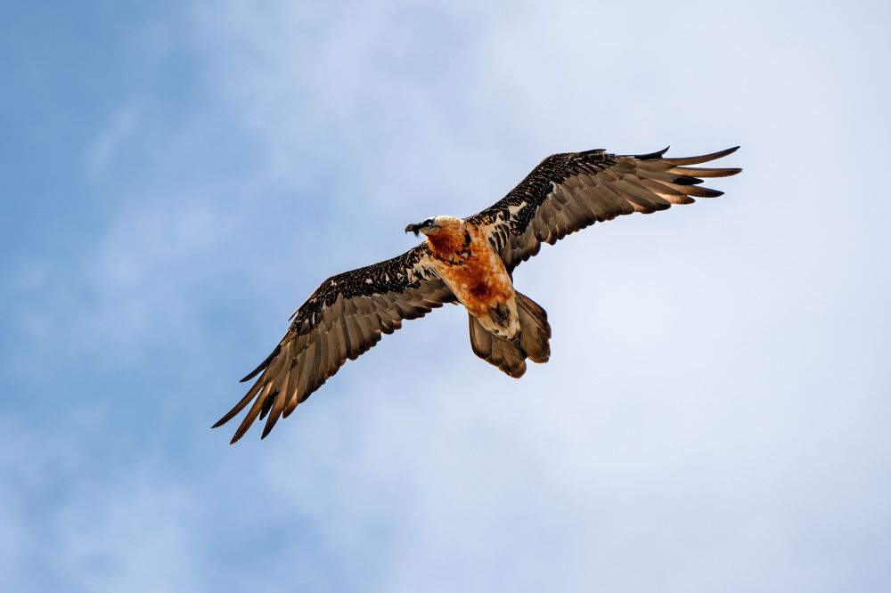 Photograph by Jean pierre