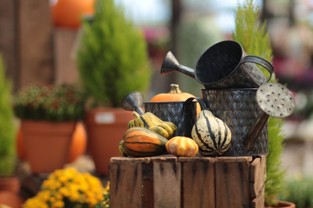 Photograph by Silvia Dubceac