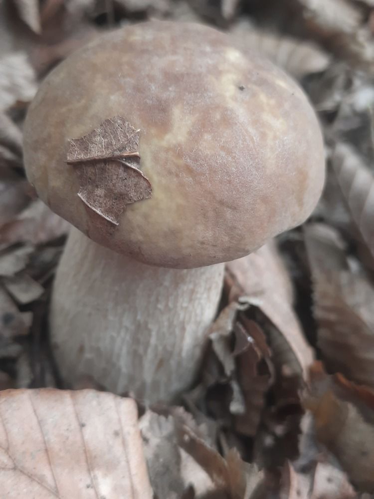 Photograph by Marijana Dragosavljević