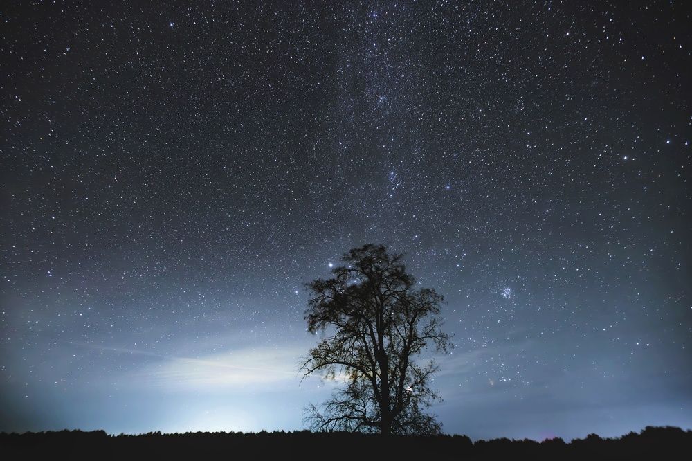 Photograph by Антон Градобоев