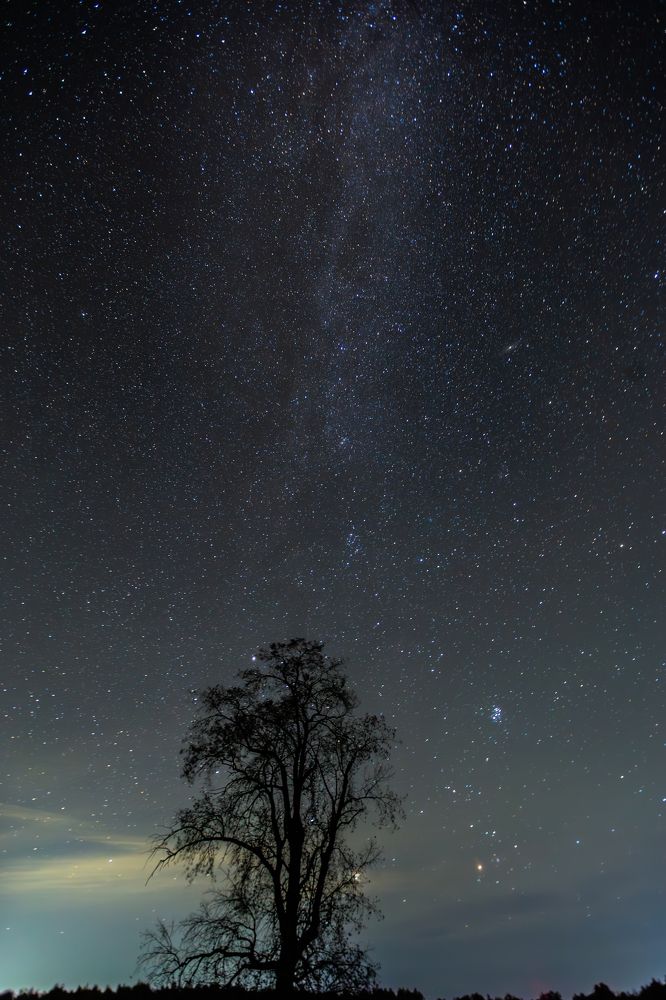 Photograph by Антон Градобоев