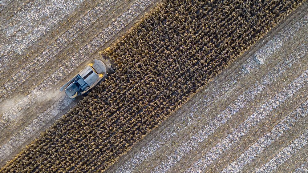 Photograph by çiğdem Sorgut