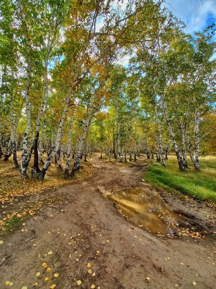 Photograph by Александра Королёва