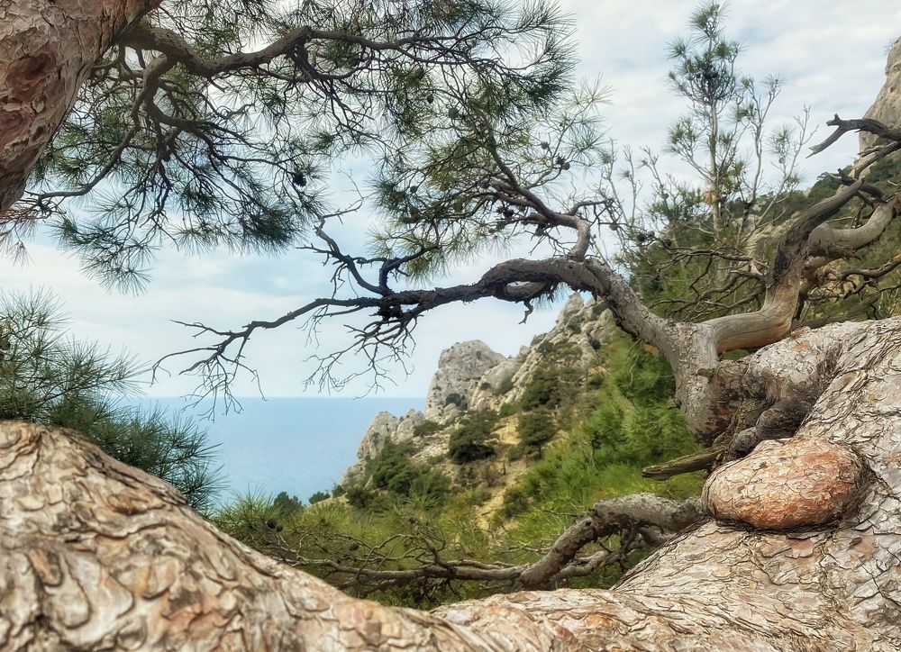 Photograph by Вадим Качанов