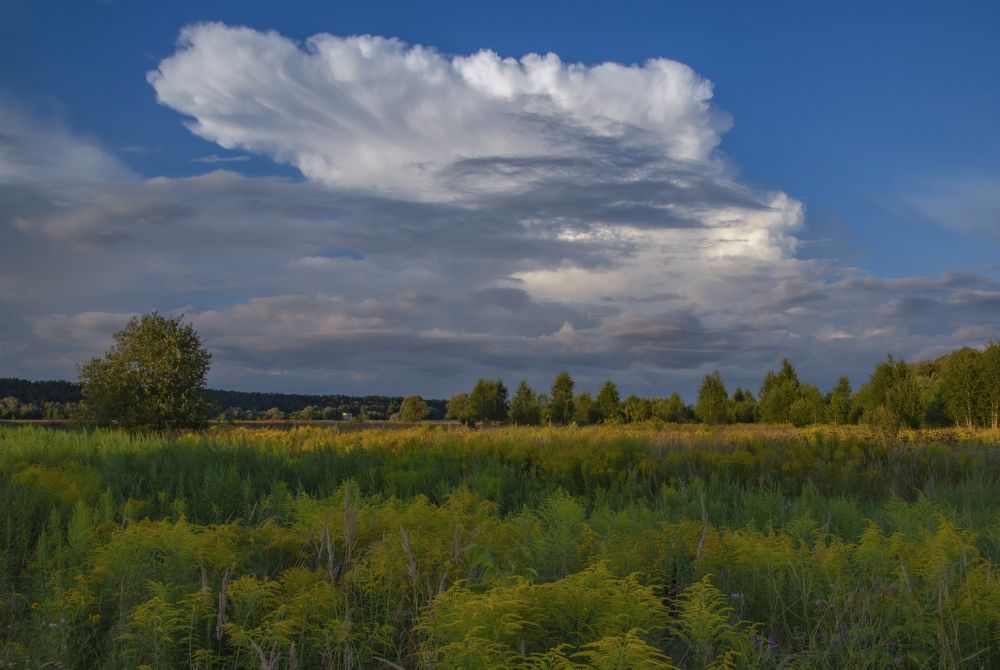 Photograph by Anna Ovanesova