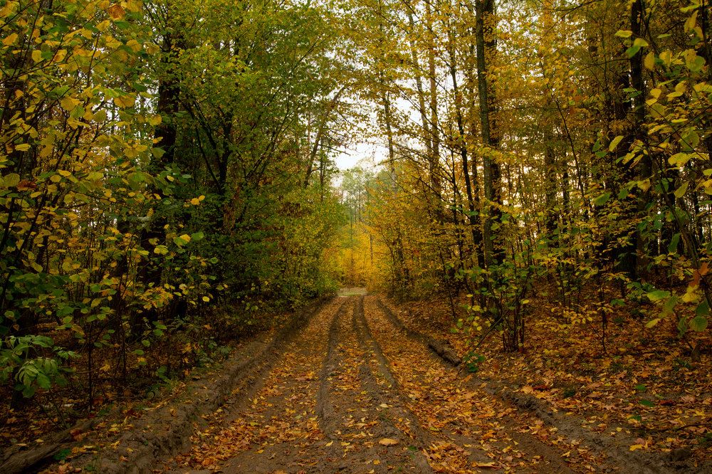 Photograph by Анна Евдокименко