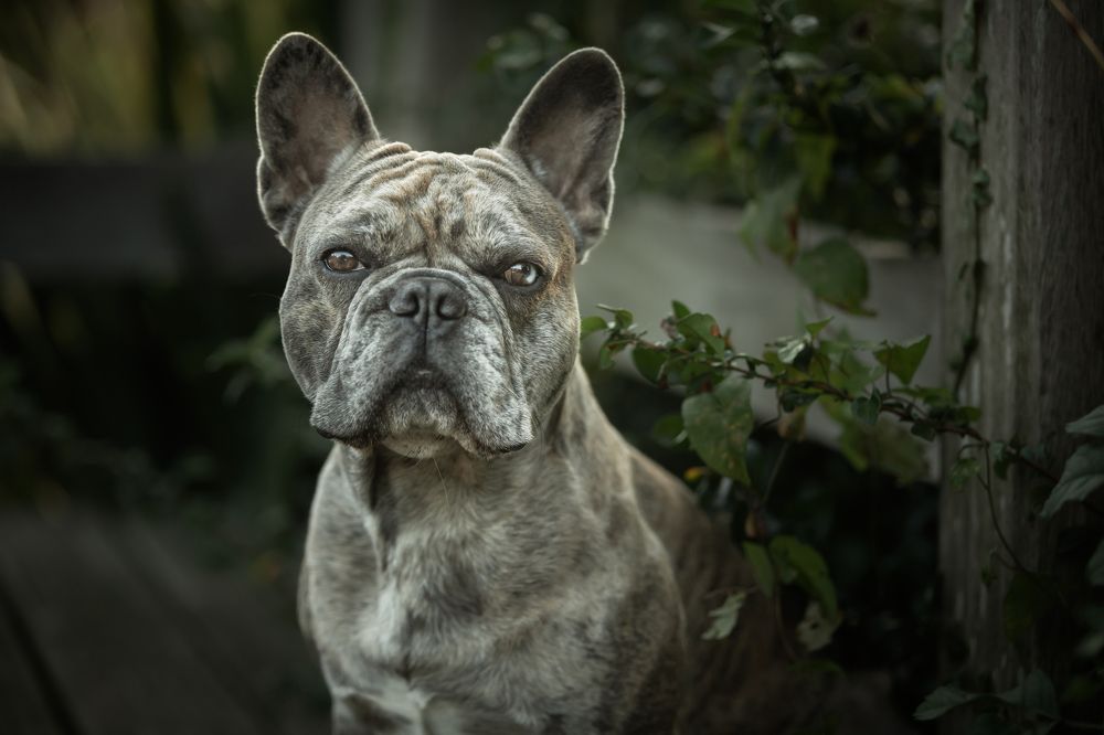 Photograph by Goené Gertrude