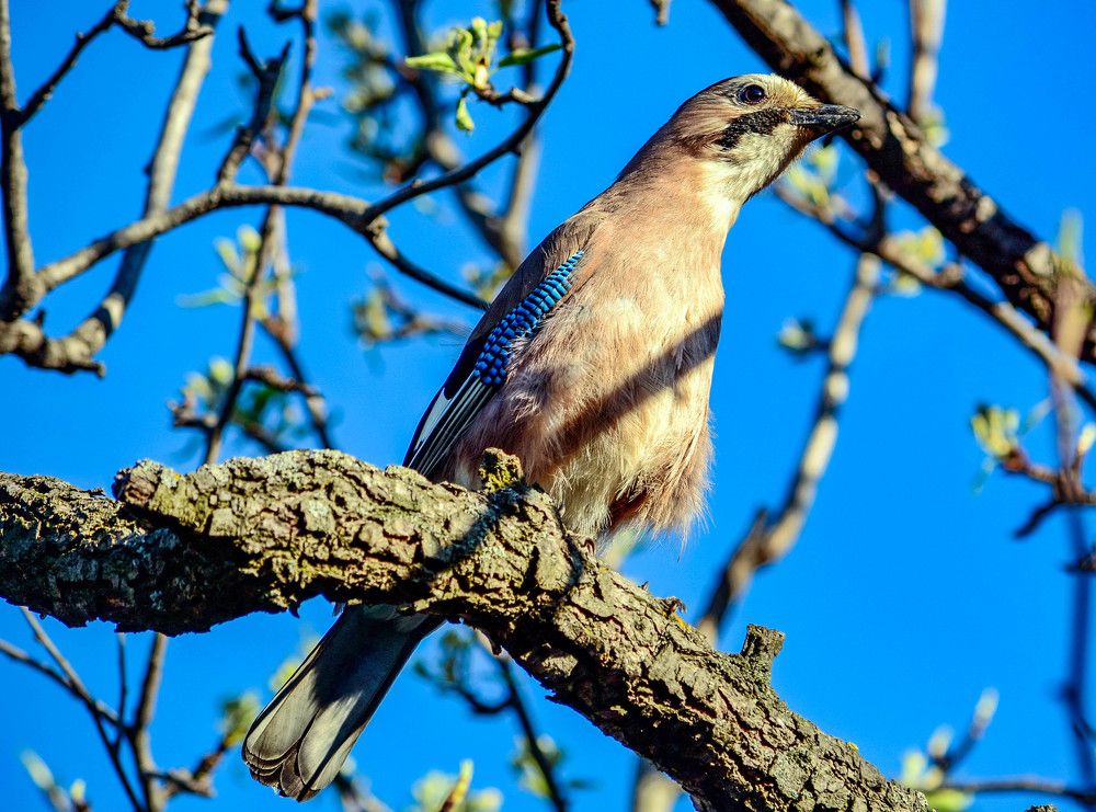 Photograph by Саркаров Юсиф