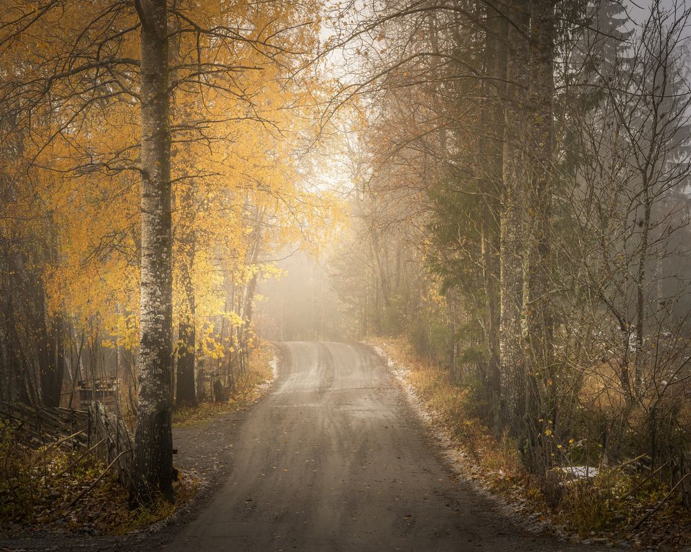 Photograph by Susn Jensen