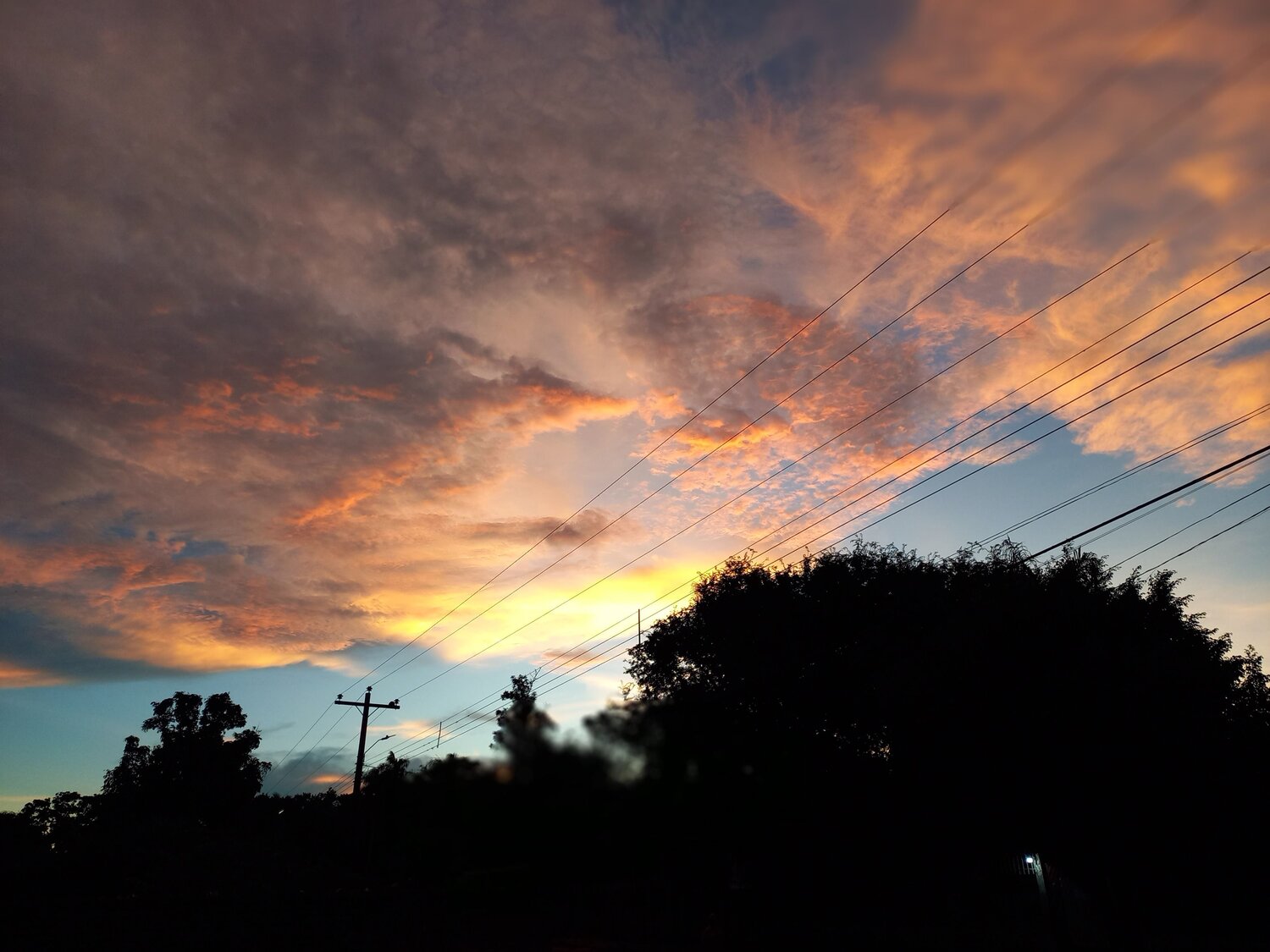 BELLA TARDE