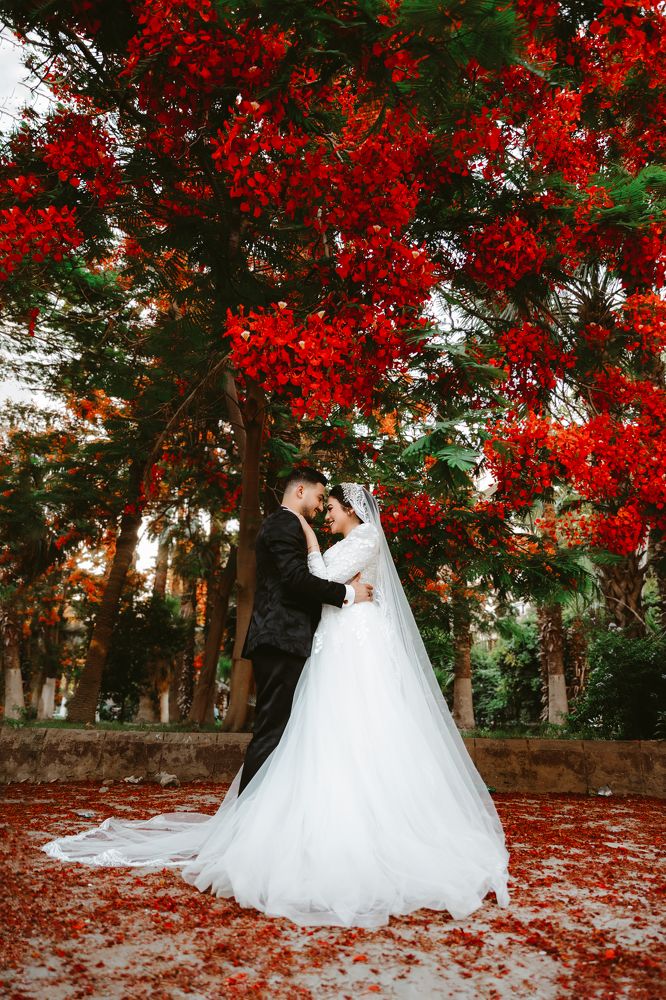 Photograph by mohamed rasta