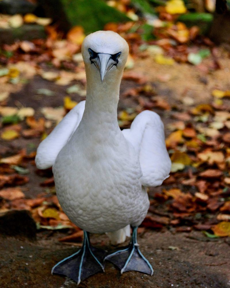 Photograph by Медведев Антон