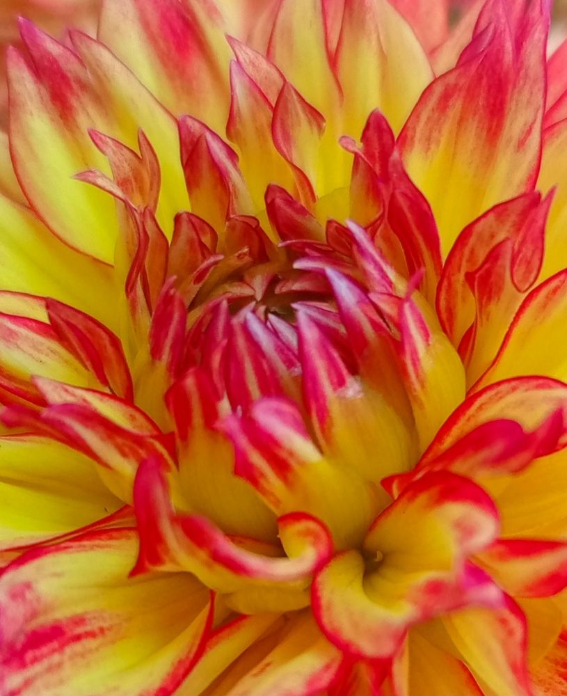 Фотография автора Юлиана Чудакова