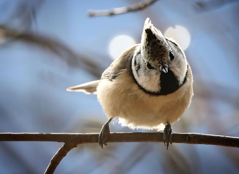 Photograph by Alessandro Moser