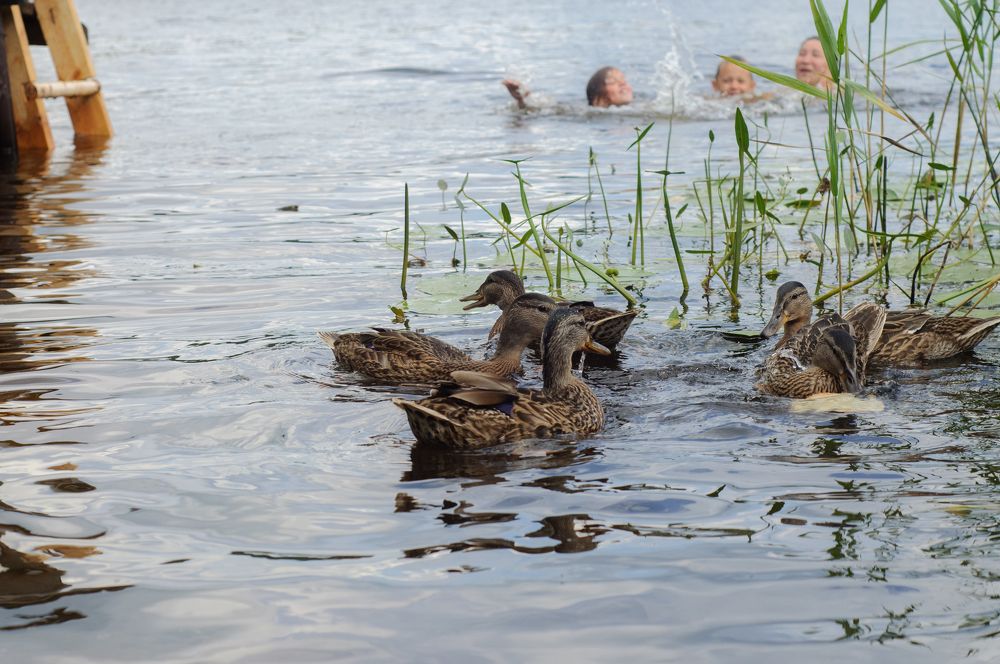 Photograph by Оксана Артимович