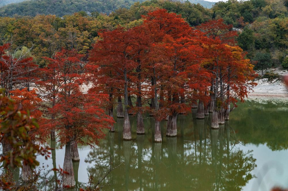 Палитра бархатного сезона
