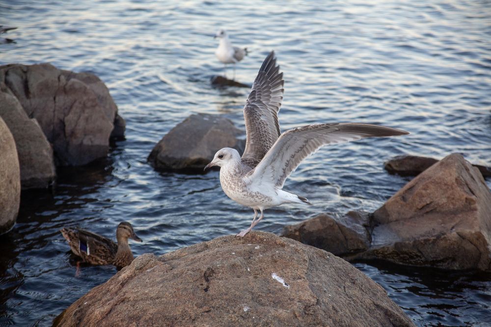 Photograph by Мария Громова