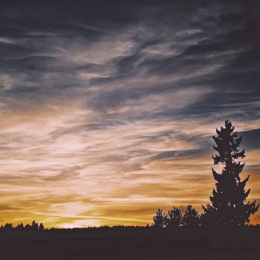 Photograph by Елизавета Силова