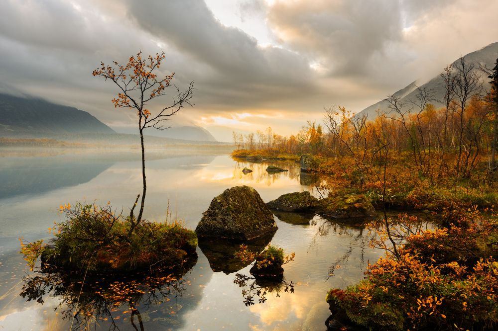 Осеннее утро.