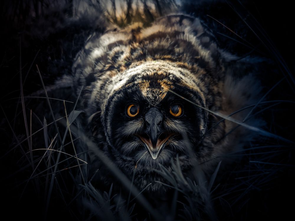 Photograph by Максим Шарыгин