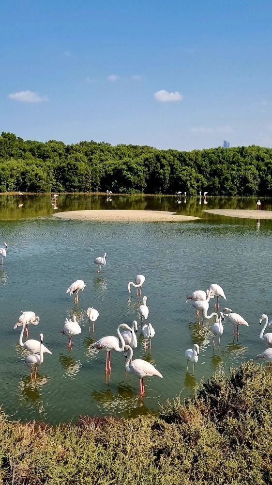 Photograph by Оксана Ермакова