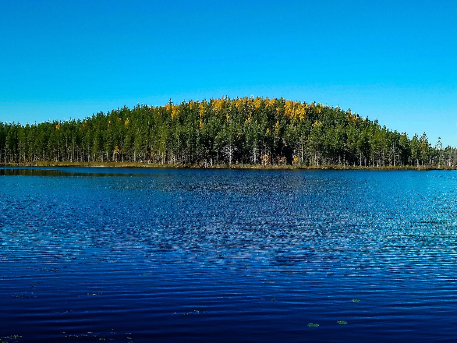 Photo #11106976