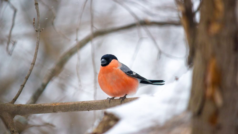 Photograph by Alexander Eliseev