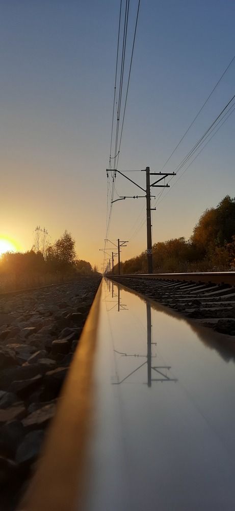 Фотография автора Светлана Дубина