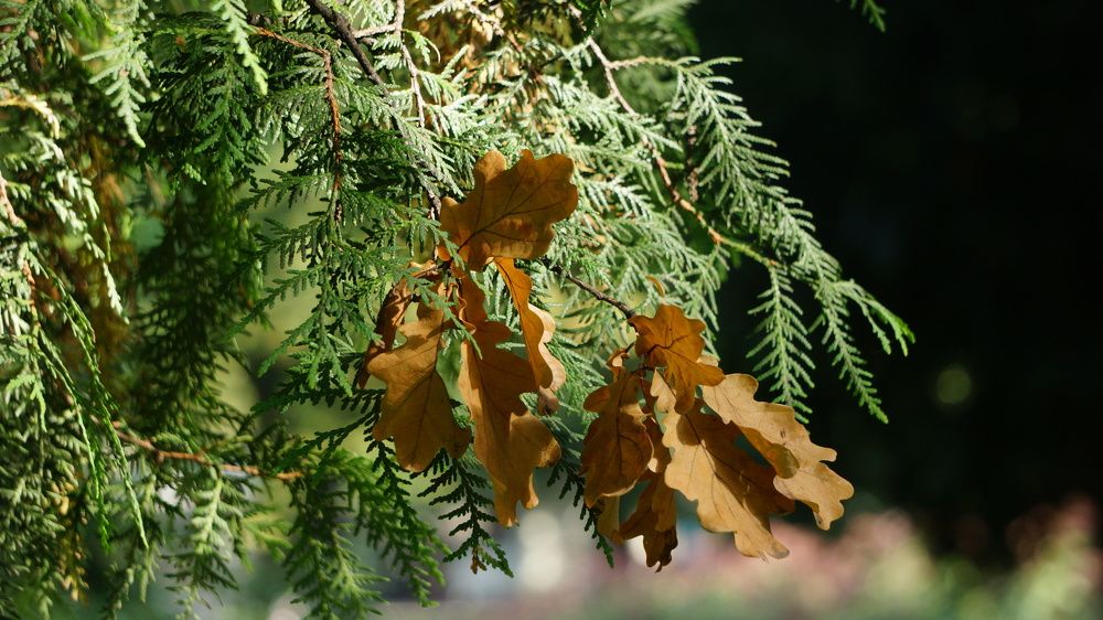 Photograph by Igors Rostikovs