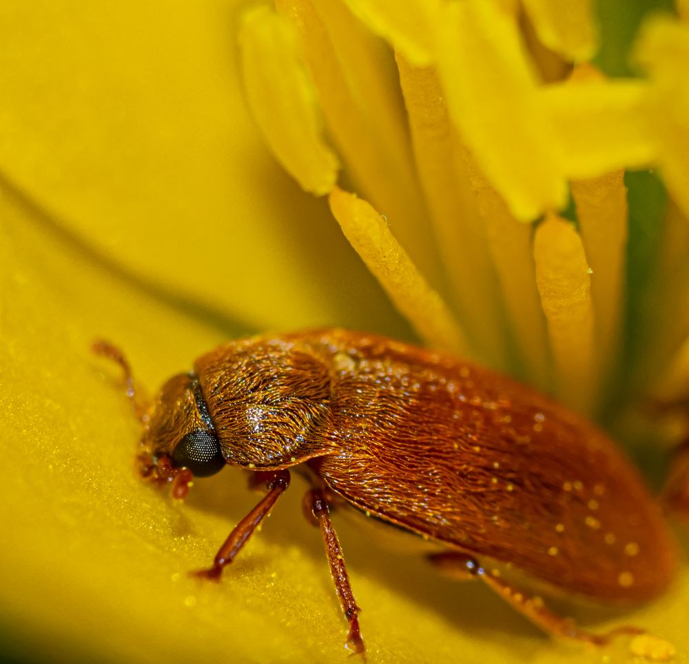 Photograph by Елена Шарапова