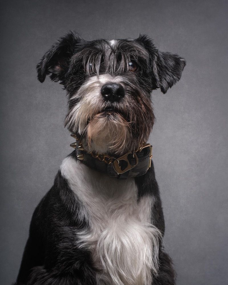 Photograph by Marco Chandía