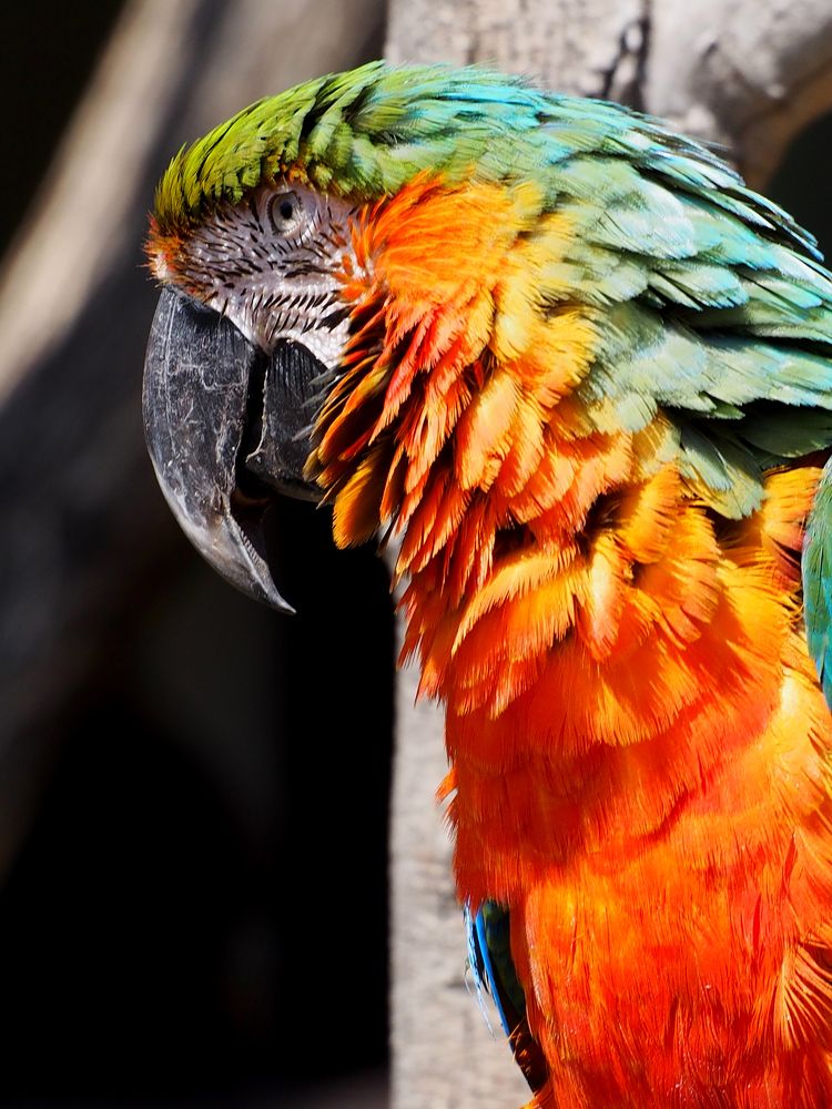 Photograph by Abdolreza Aleagha