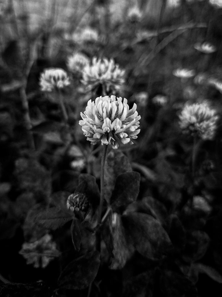 Photograph by Дарья Макаревич