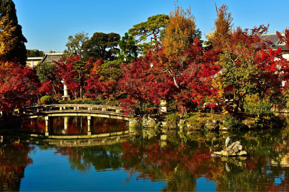 Фотография автора Sen Abhijit