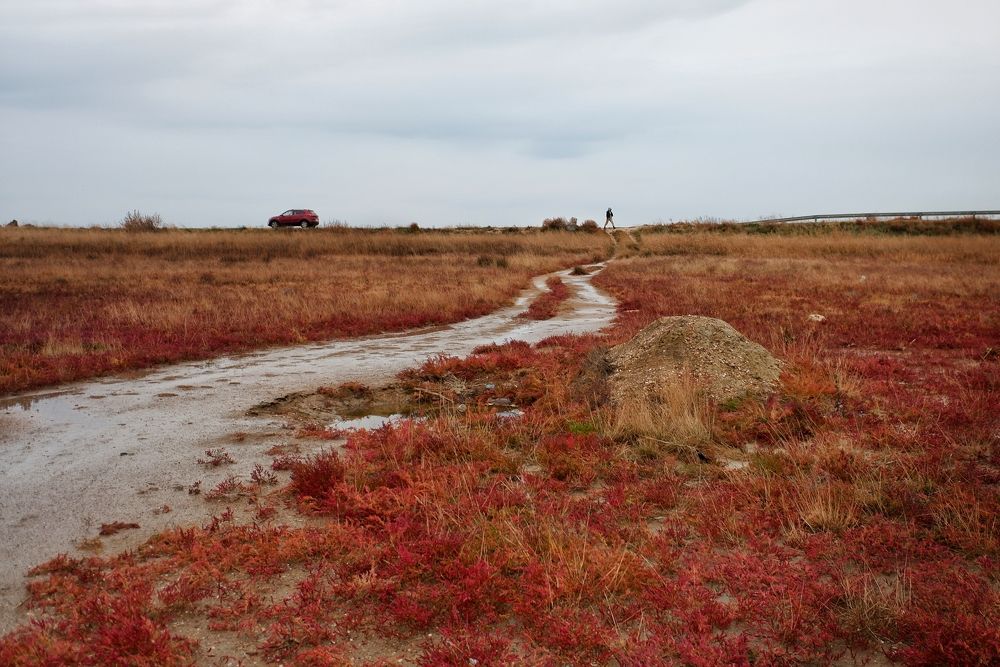 Photograph by Зорин Миша