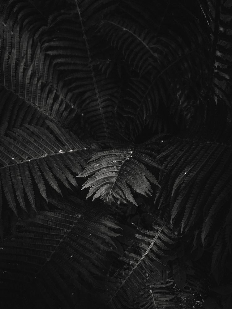 Photograph by Дарья Макаревич