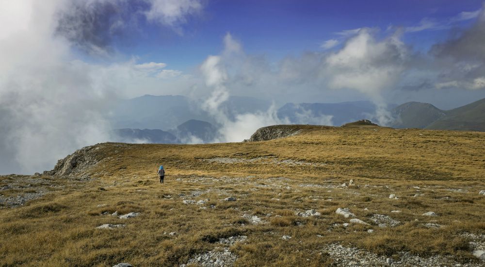 Photograph by Пирог Борис