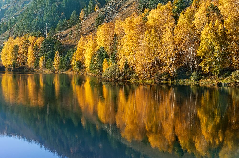 Photograph by ВЛАДИМИР ВОРОБЬЕВ