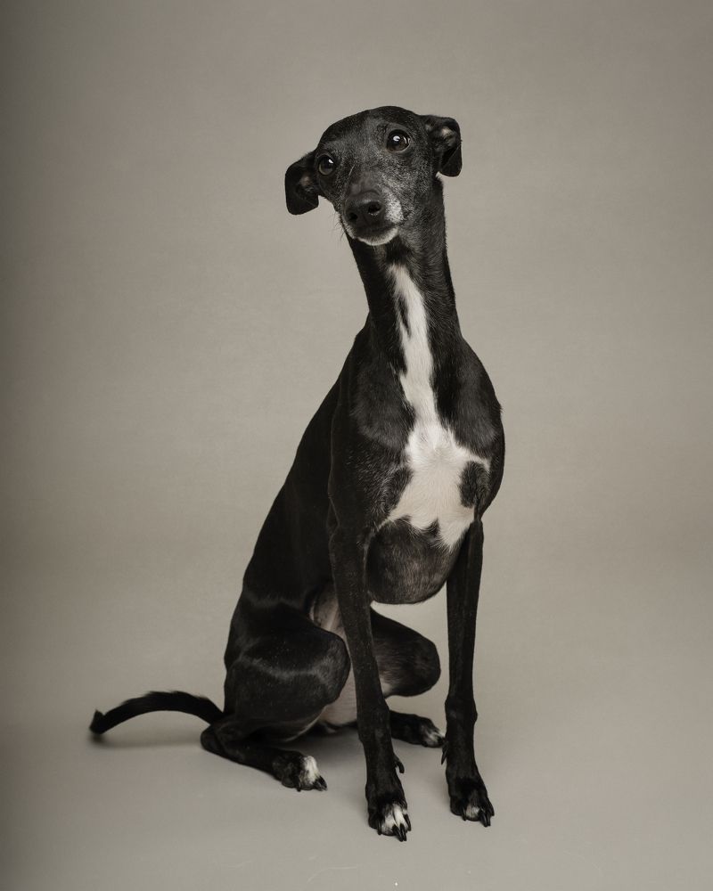 Photograph by Marco Chandía