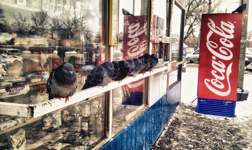 Photograph by Александр Малютин