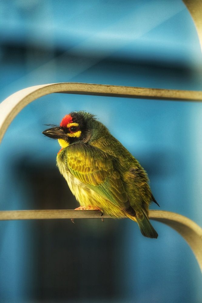 Photograph by Diganto Ghosh