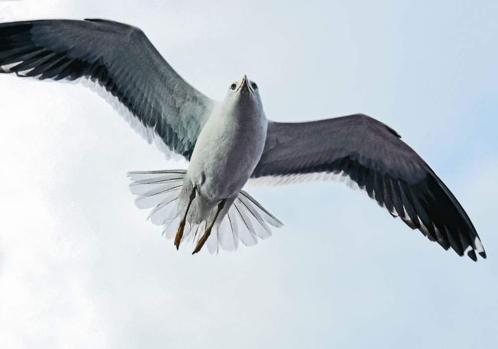 Photograph by Михаил Малец