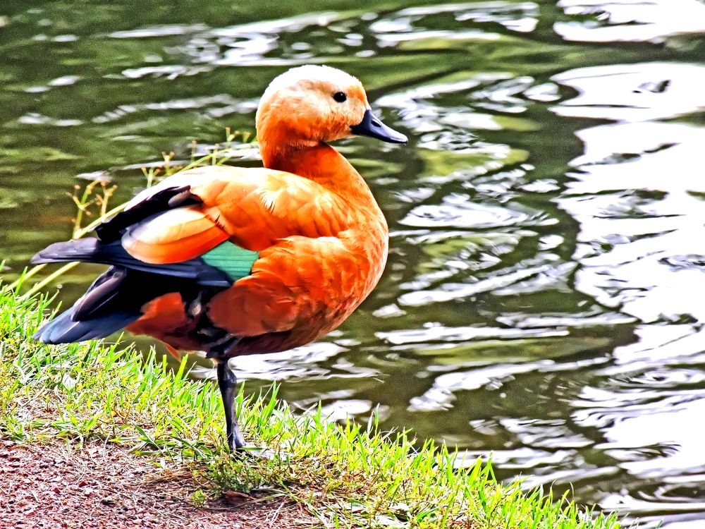 Photograph by Михаил Малец