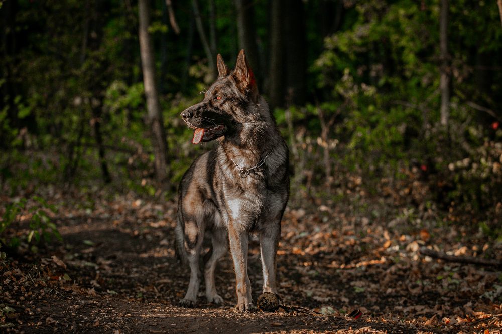 Photograph by Владислава Алексеевна
