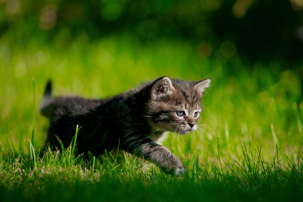 Photograph by Владислава Алексеевна